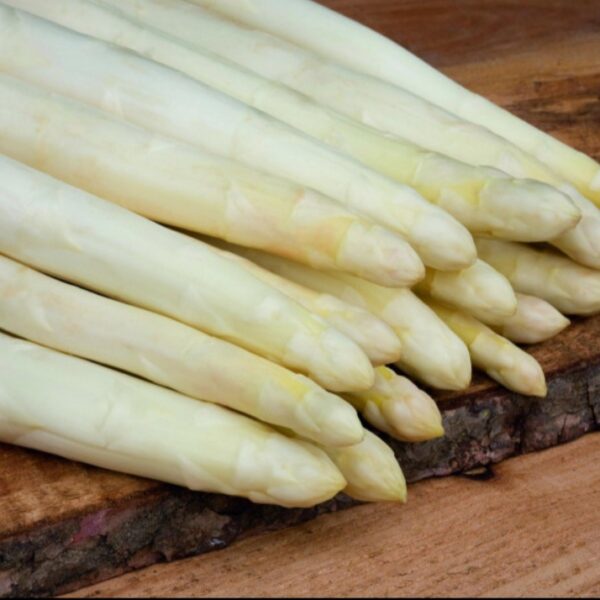 Spargel paljasjuurne "Cygnus" B 10 tk pakendis