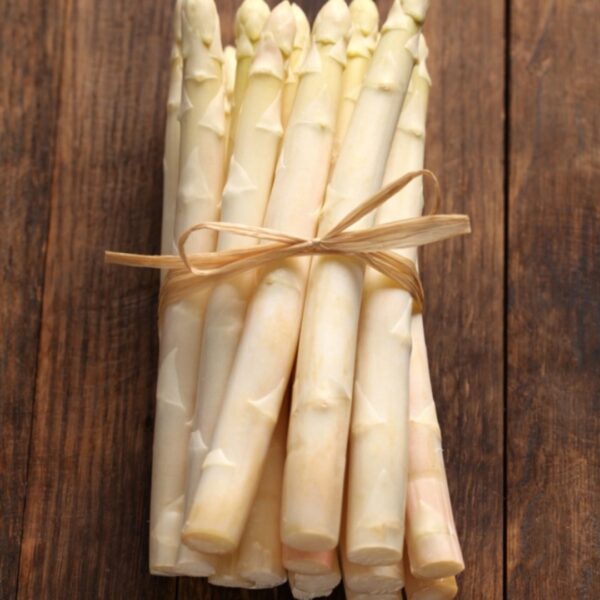 Spargel paljasjuurne "Sirius" B 10 tk pakendis