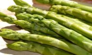 Spargel paljasjuurne "Xenolim" 10 tk pakendis